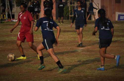 DSC 0208e