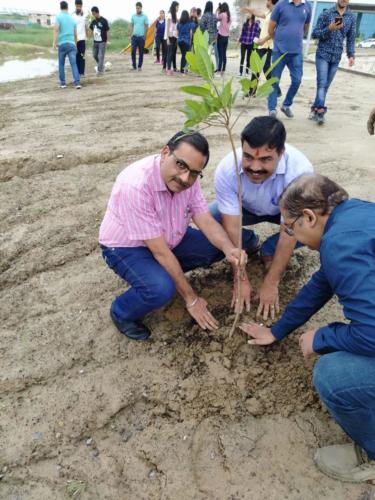 plantation day